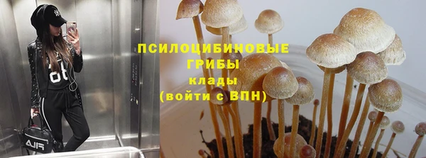 герыч Аркадак