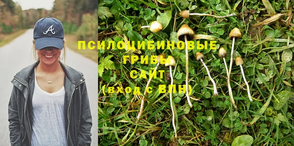 первитин Армянск