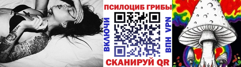 Купить где  Бахчисарай  Галлюциногенные грибы Cubensis 